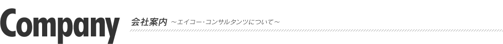 会社案内～エイコー・コンサルタンツについて～